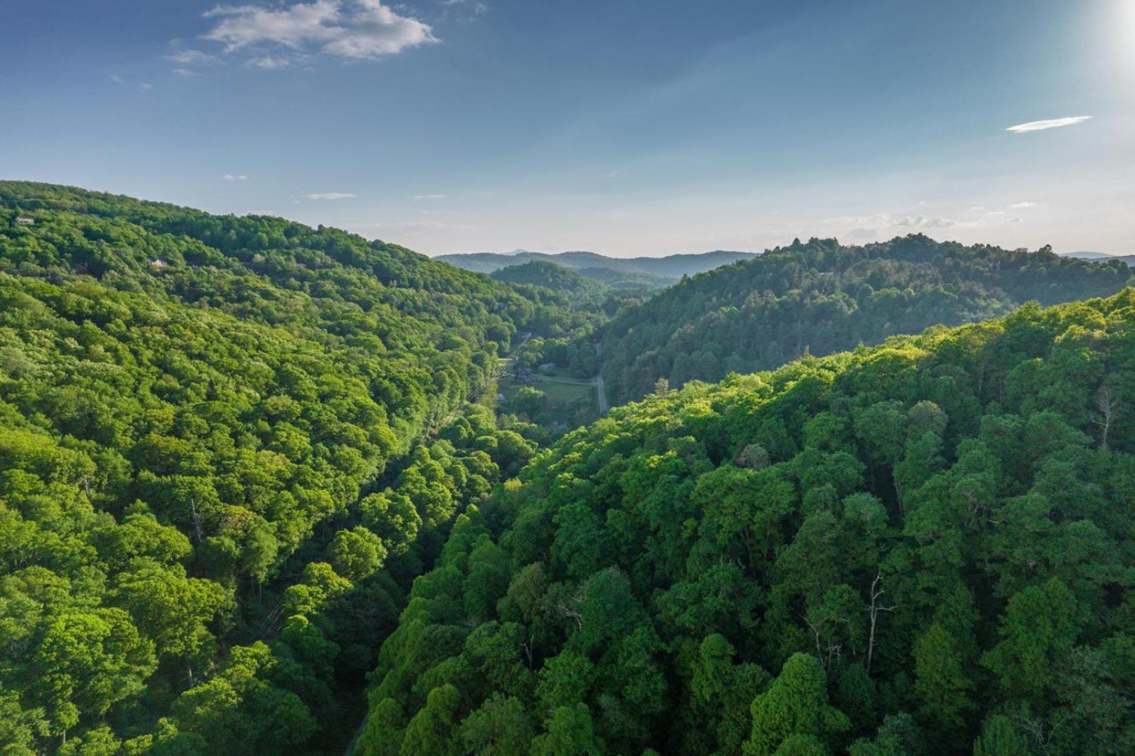 Paws A While Βίλα Blowing Rock Εξωτερικό φωτογραφία